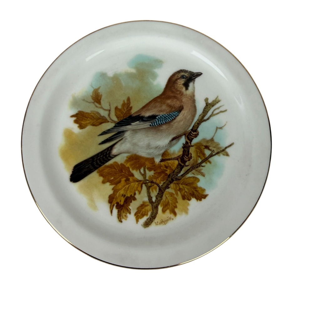 Royal Vale Bone China Jay Bird Decorative Plate E571 Made in England Vintage 6"
